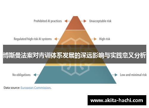 博斯曼法案对青训体系发展的深远影响与实践意义分析